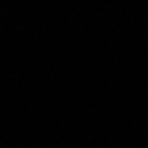 Meet your Posher, Abbey